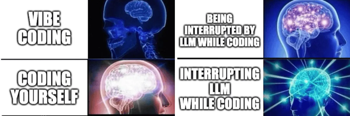 Vibe Coding Meme